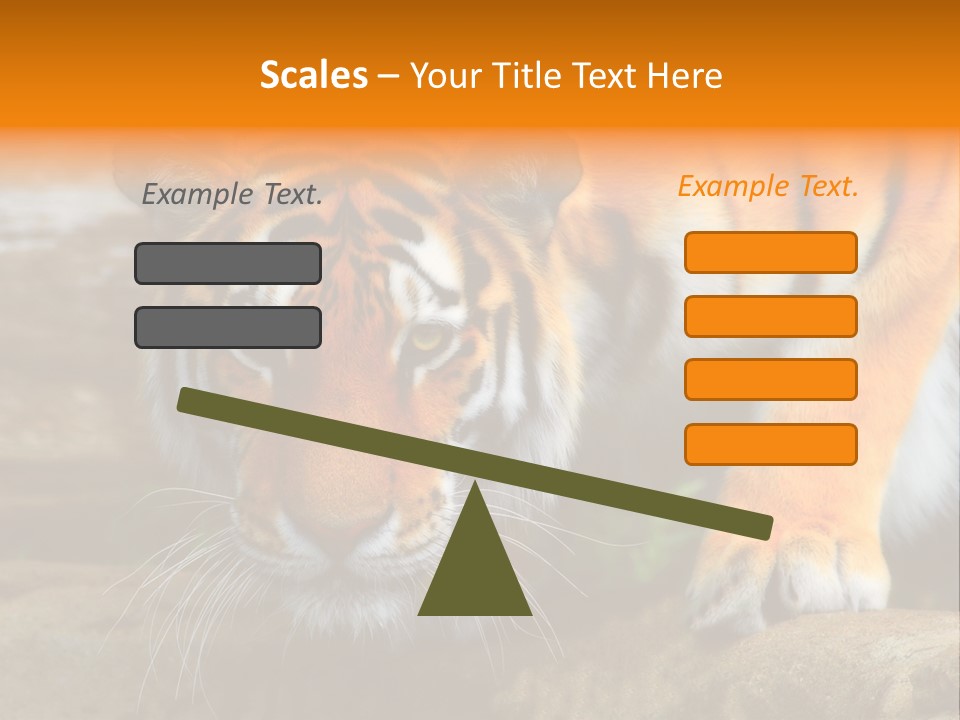 Captivity Asia Fierce PowerPoint Template