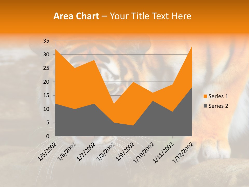 Captivity Asia Fierce PowerPoint Template