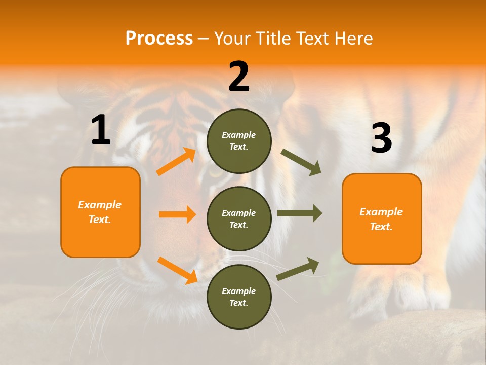 Captivity Asia Fierce PowerPoint Template