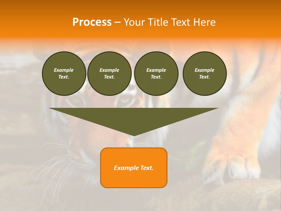 Captivity Asia Fierce PowerPoint Template