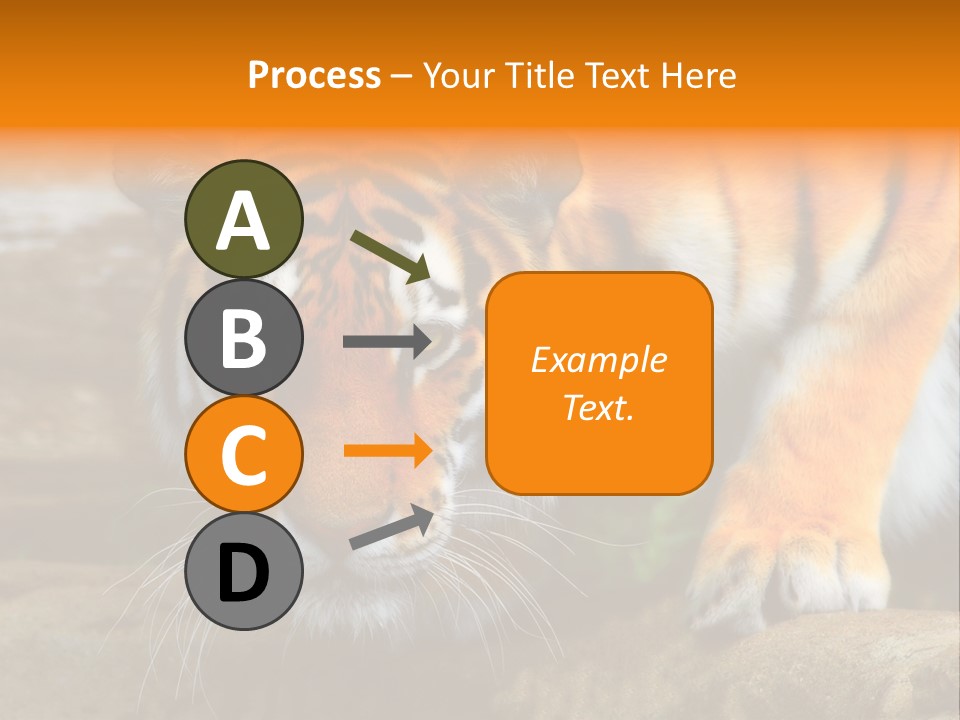 Captivity Asia Fierce PowerPoint Template