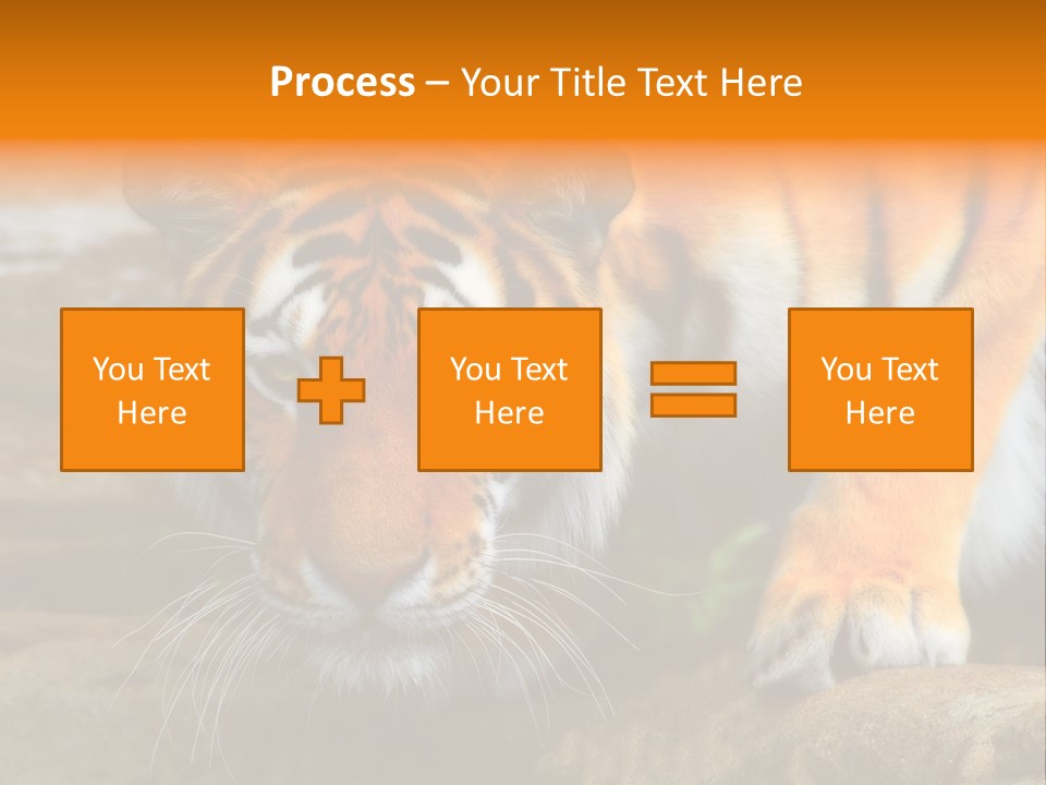 Captivity Asia Fierce PowerPoint Template