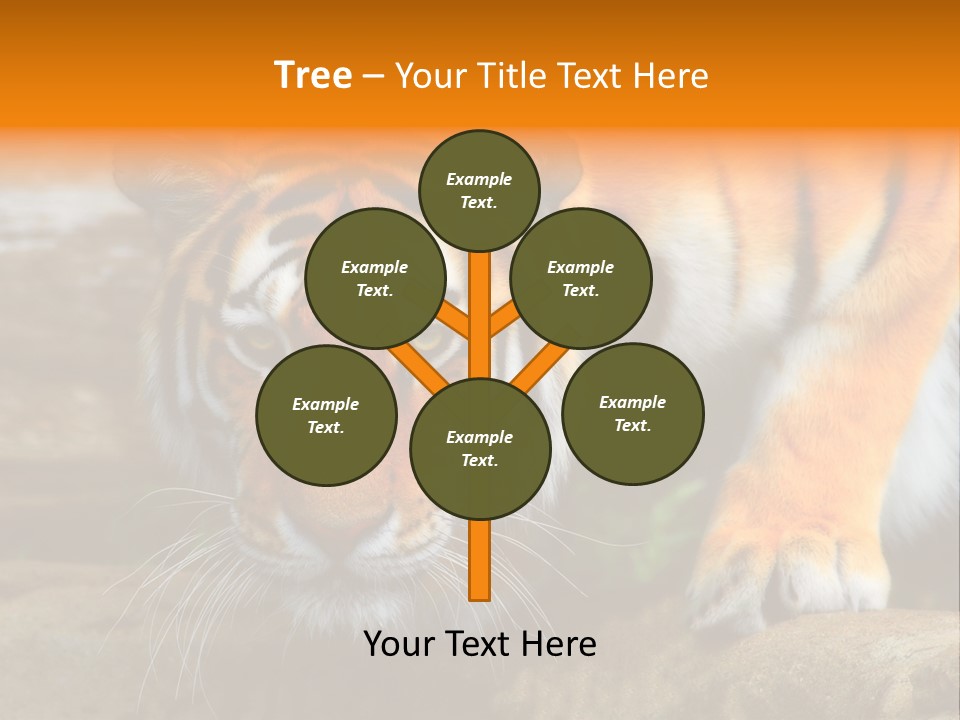 Captivity Asia Fierce PowerPoint Template