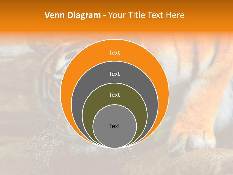 Captivity Asia Fierce PowerPoint Template