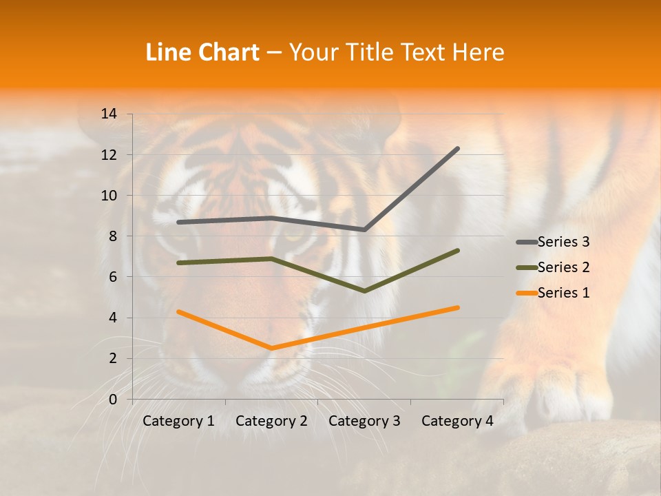 Captivity Asia Fierce PowerPoint Template