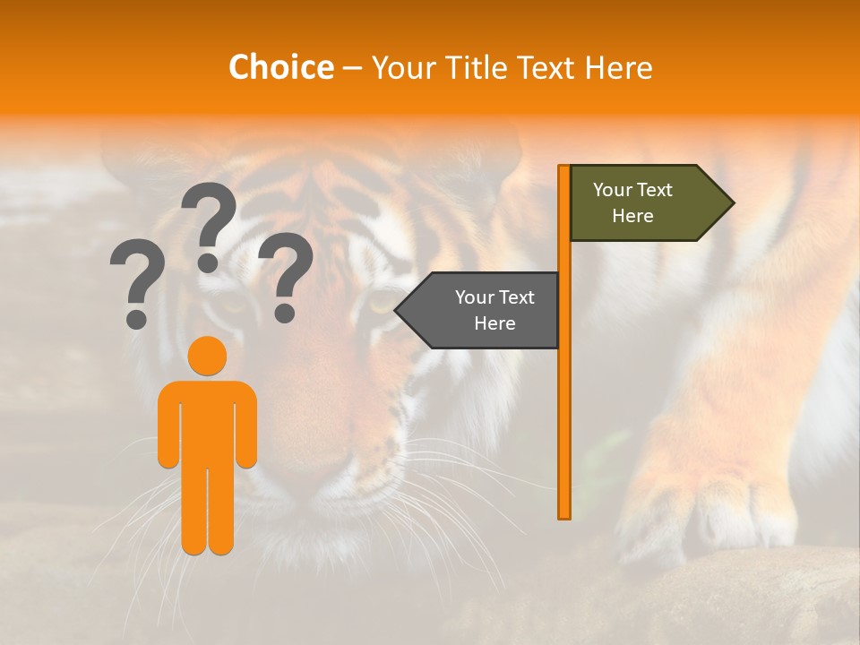 Captivity Asia Fierce PowerPoint Template