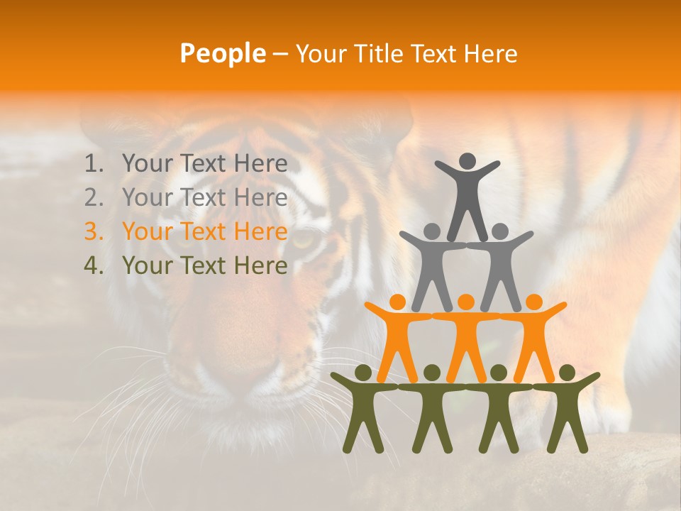 Captivity Asia Fierce PowerPoint Template