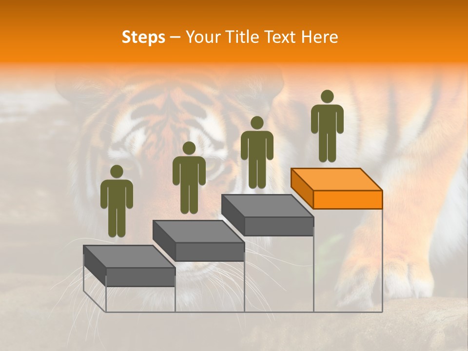 Captivity Asia Fierce PowerPoint Template