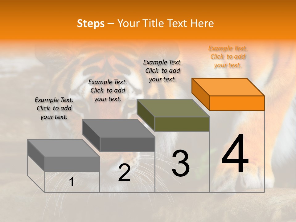 Captivity Asia Fierce PowerPoint Template