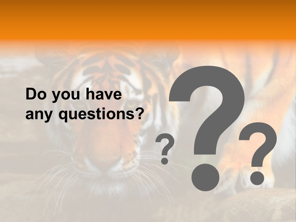 Captivity Asia Fierce PowerPoint Template