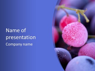 Tasty Closeup Currant PowerPoint Template