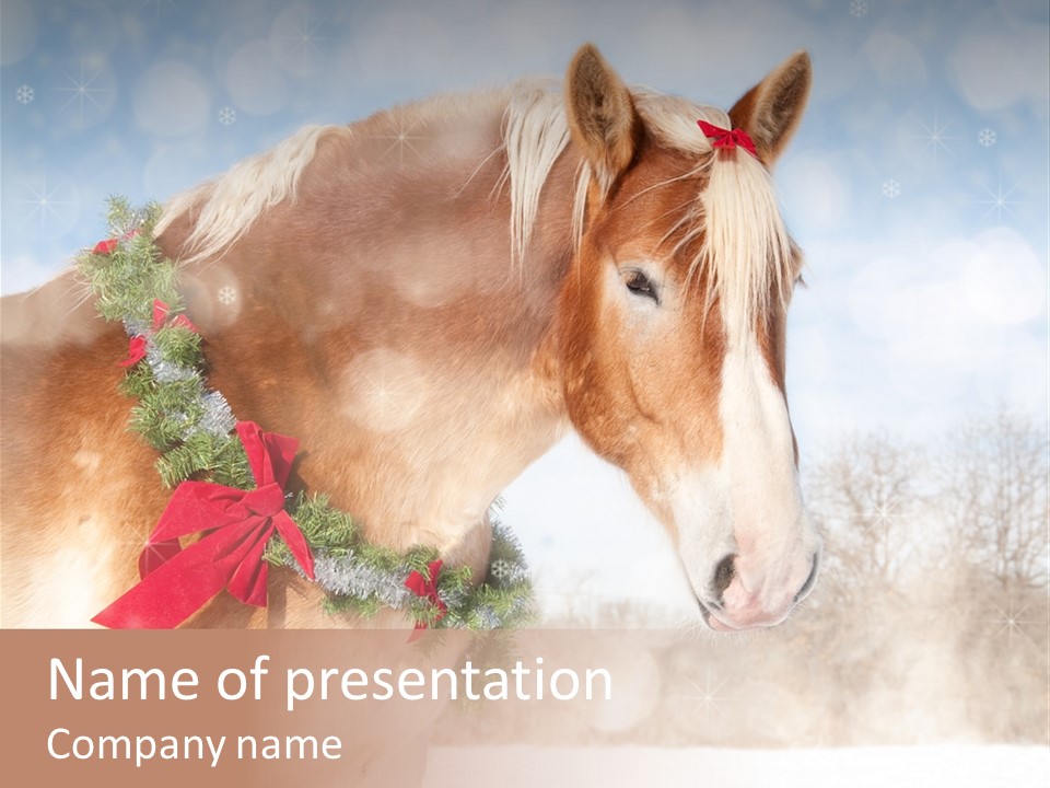 Comical Wreath Christmas PowerPoint Template