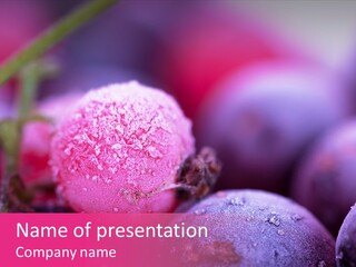 Black Decoration Red PowerPoint Template