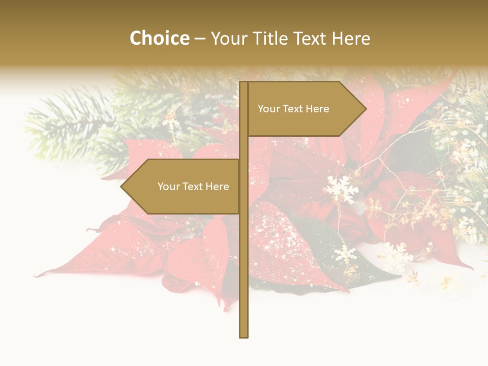 Red Background Bright PowerPoint Template