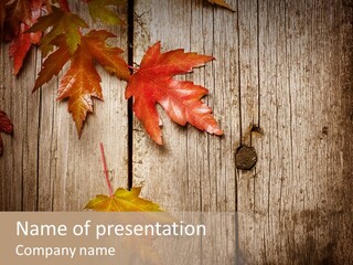 Copy Old Copy Space PowerPoint Template