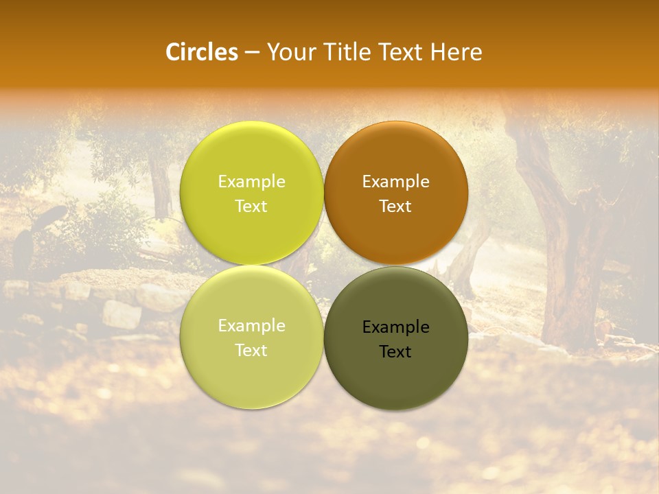 Grease Culture Spain PowerPoint Template