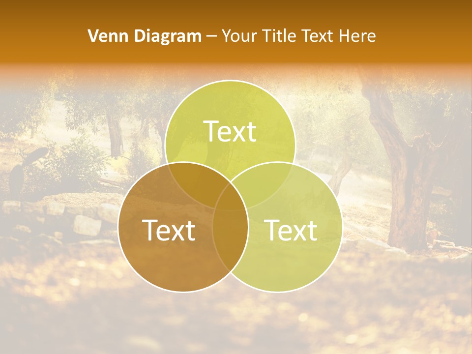 Grease Culture Spain PowerPoint Template