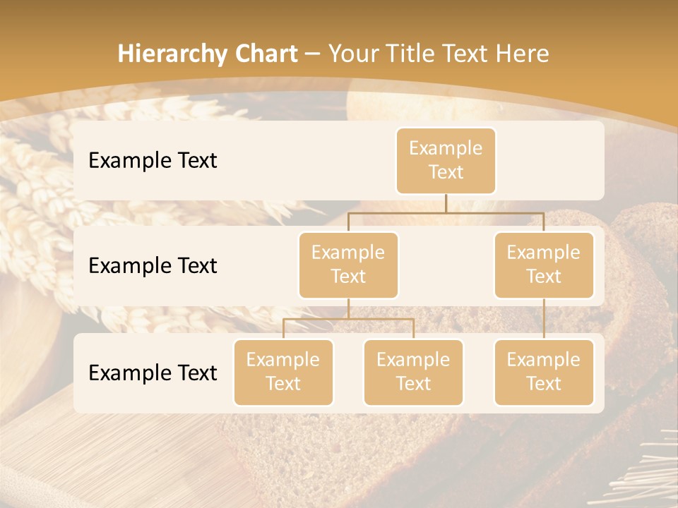 Agriculture Foodstuff Corn PowerPoint Template