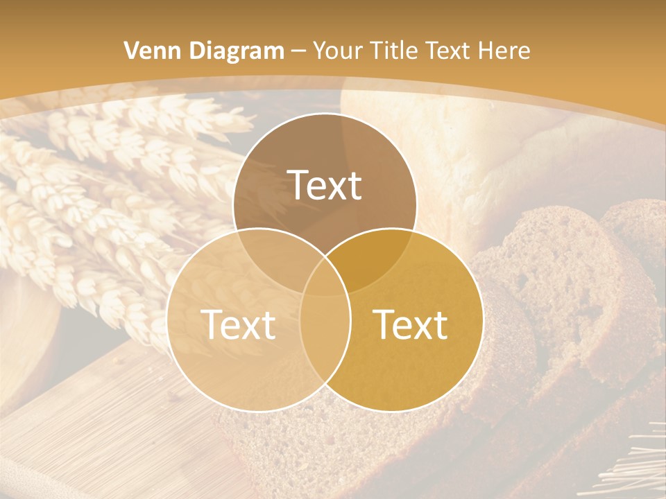 Agriculture Foodstuff Corn PowerPoint Template
