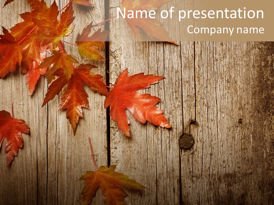 Yellow Maple Rusted PowerPoint Template