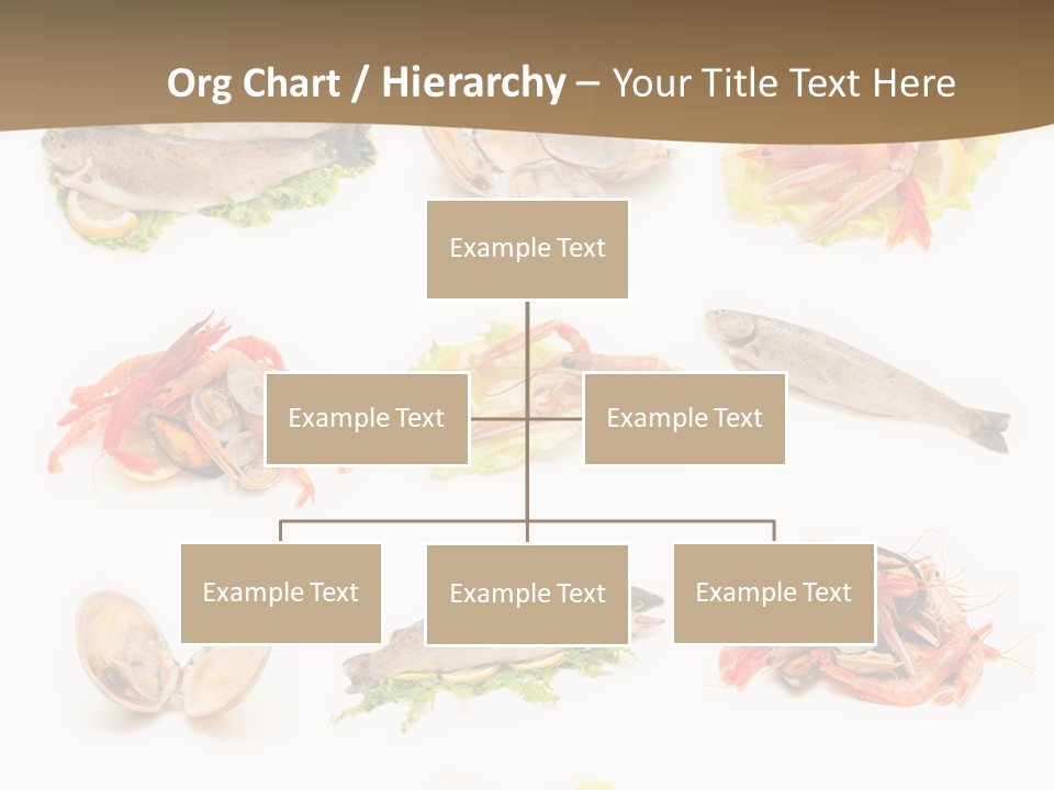 Food Sea Shrimps PowerPoint Template