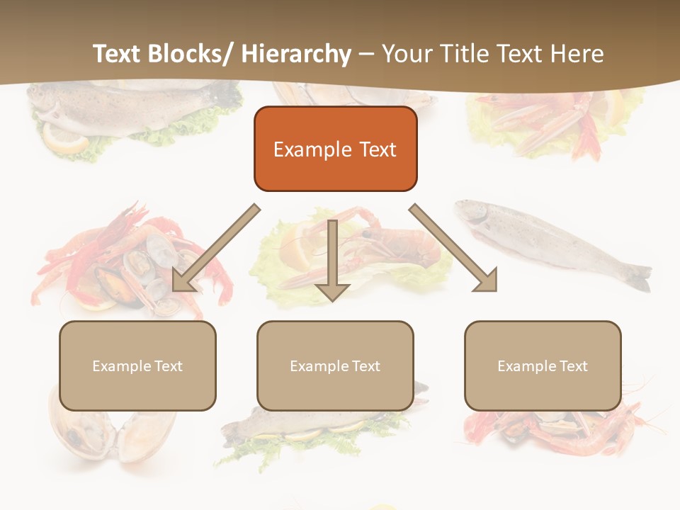 Food Sea Shrimps PowerPoint Template