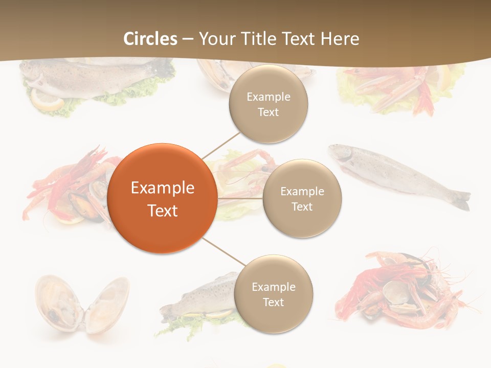 Food Sea Shrimps PowerPoint Template