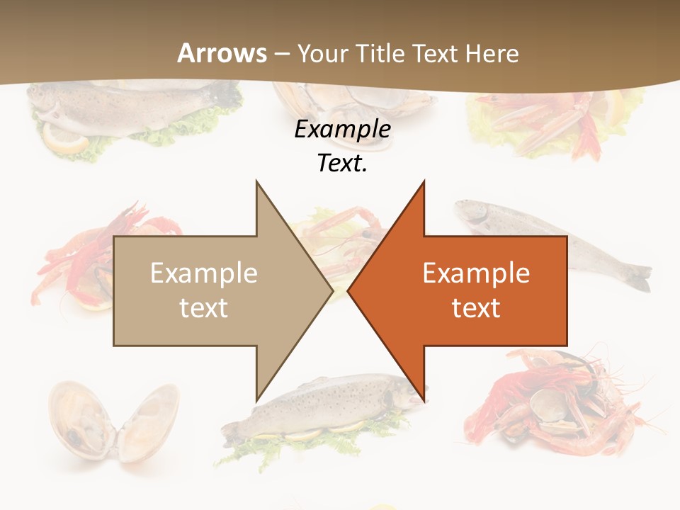 Food Sea Shrimps PowerPoint Template