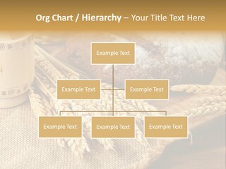 Toaster Wooden Thread PowerPoint Template