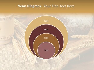 Toaster Wooden Thread PowerPoint Template