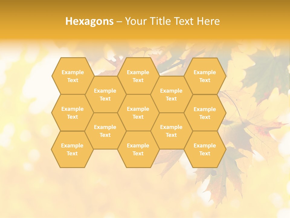 Sunshine Branch Climate PowerPoint Template