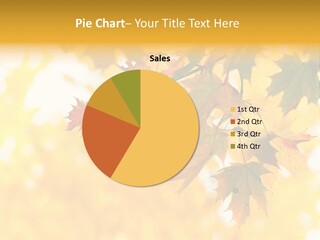 Sunshine Branch Climate PowerPoint Template