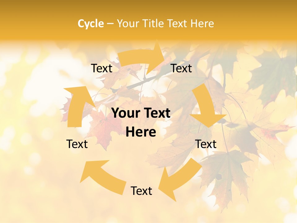 Sunshine Branch Climate PowerPoint Template