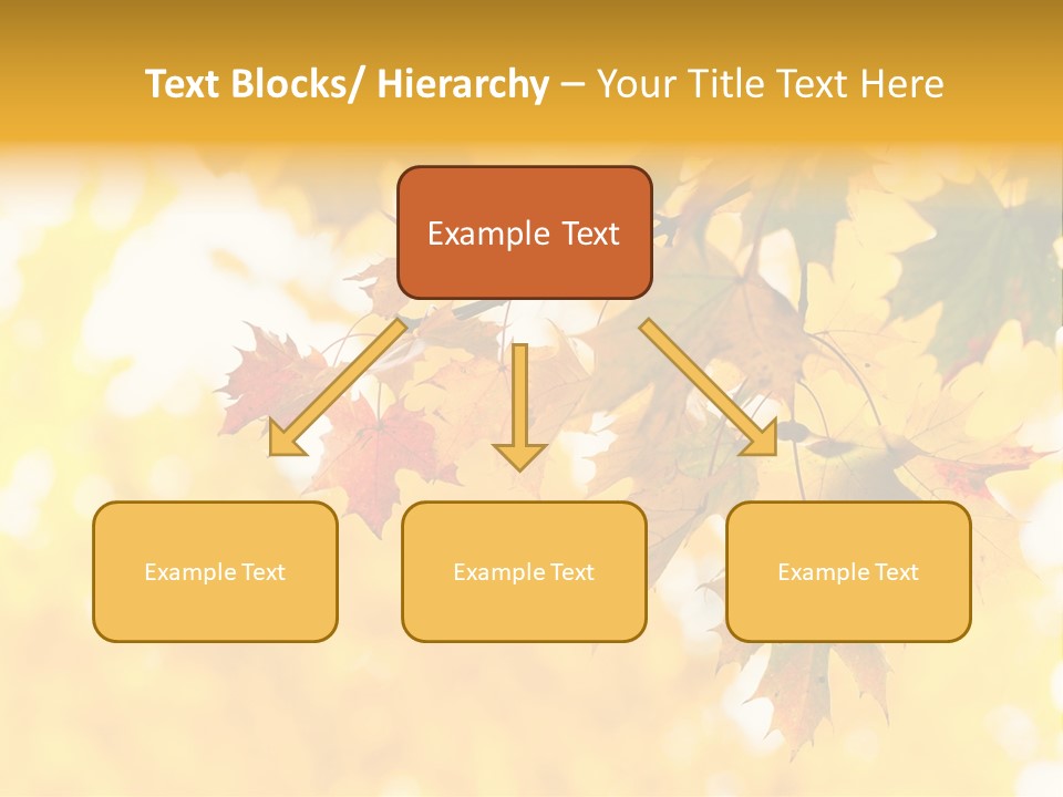 Sunshine Branch Climate PowerPoint Template