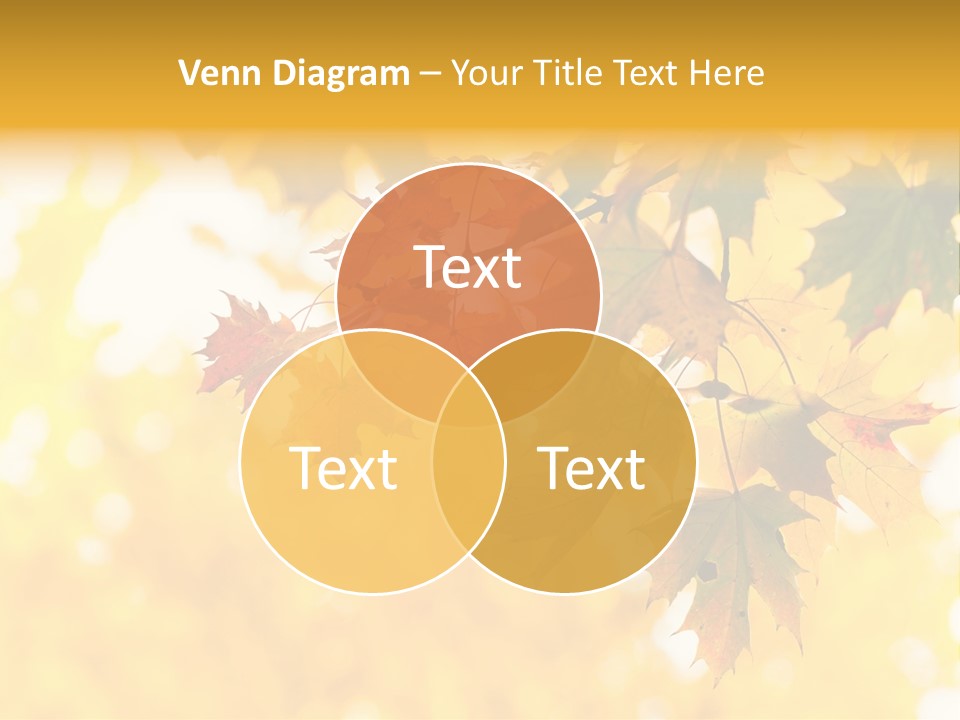 Sunshine Branch Climate PowerPoint Template