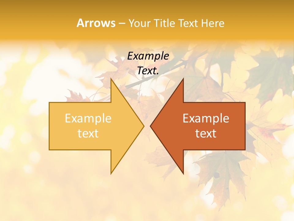 Sunshine Branch Climate PowerPoint Template