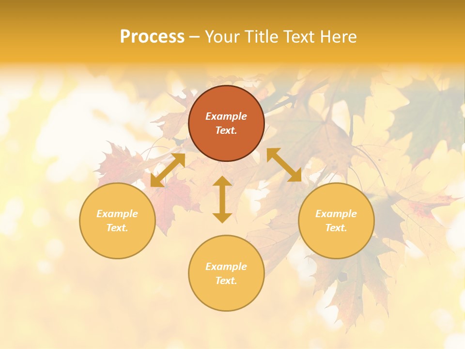 Sunshine Branch Climate PowerPoint Template