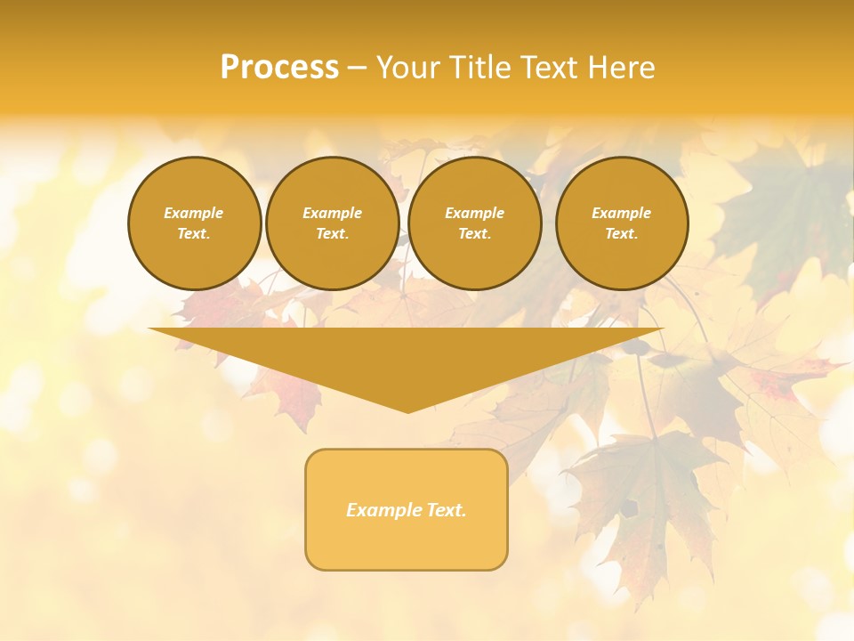 Sunshine Branch Climate PowerPoint Template