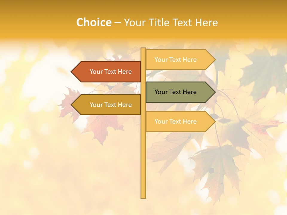 Sunshine Branch Climate PowerPoint Template