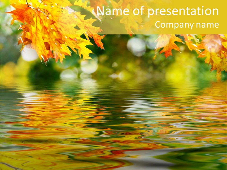 Lake Closeup Yellow PowerPoint Template