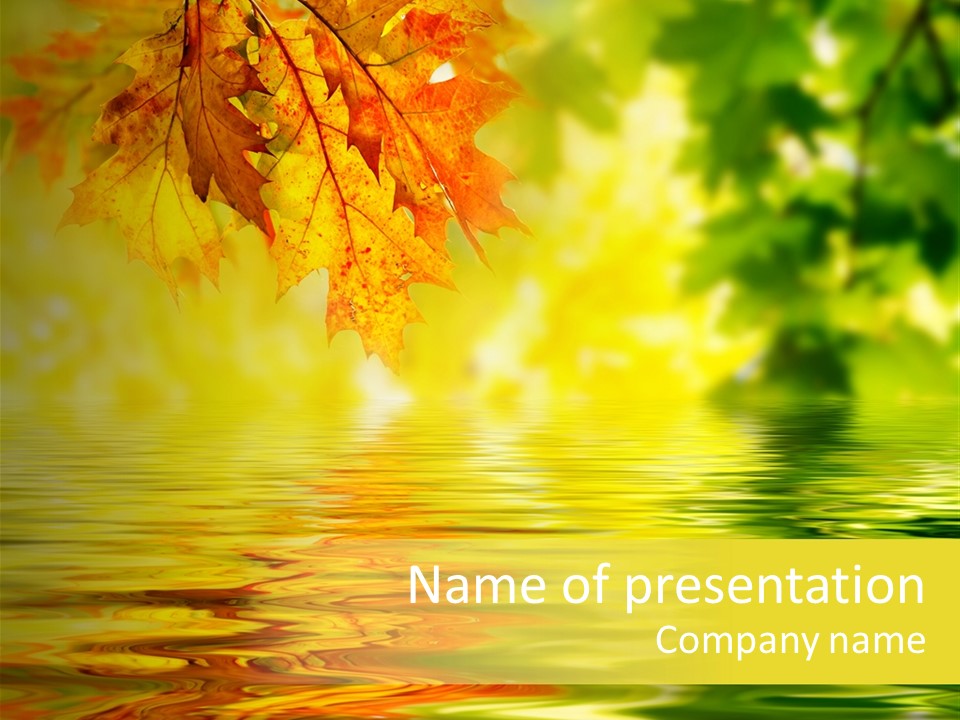 Tree Sunlight Orange PowerPoint Template