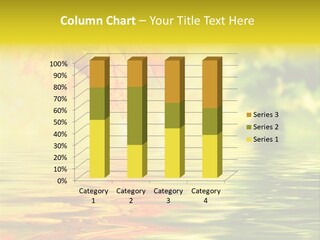 Tree Sunlight Orange PowerPoint Template