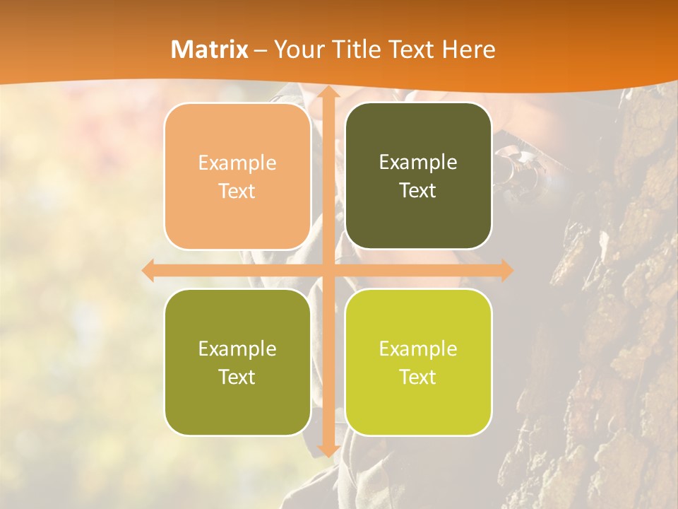 Fire Forest Ball PowerPoint Template