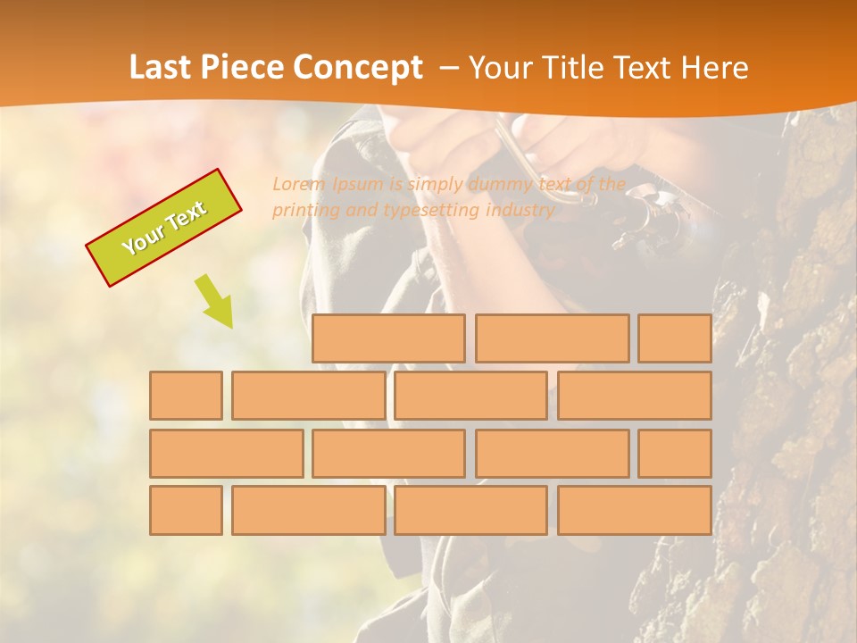 Fire Forest Ball PowerPoint Template