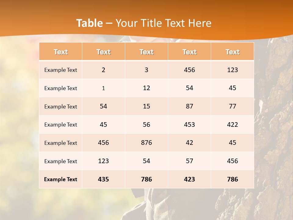Fire Forest Ball PowerPoint Template