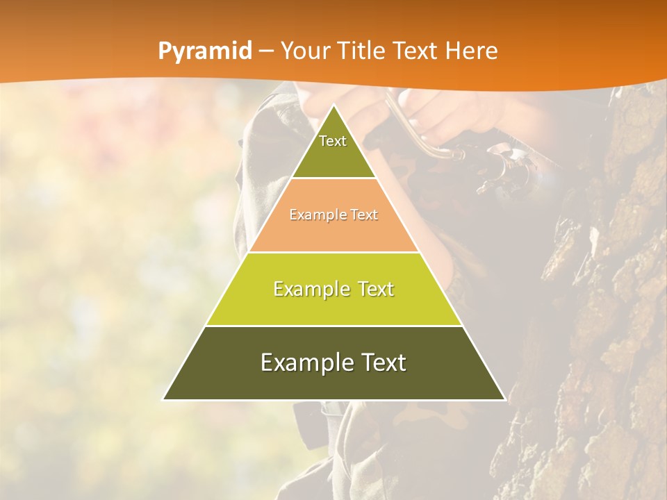 Fire Forest Ball PowerPoint Template