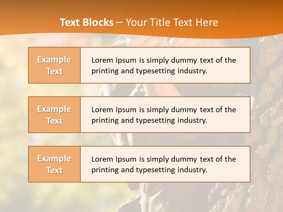 Fire Forest Ball PowerPoint Template