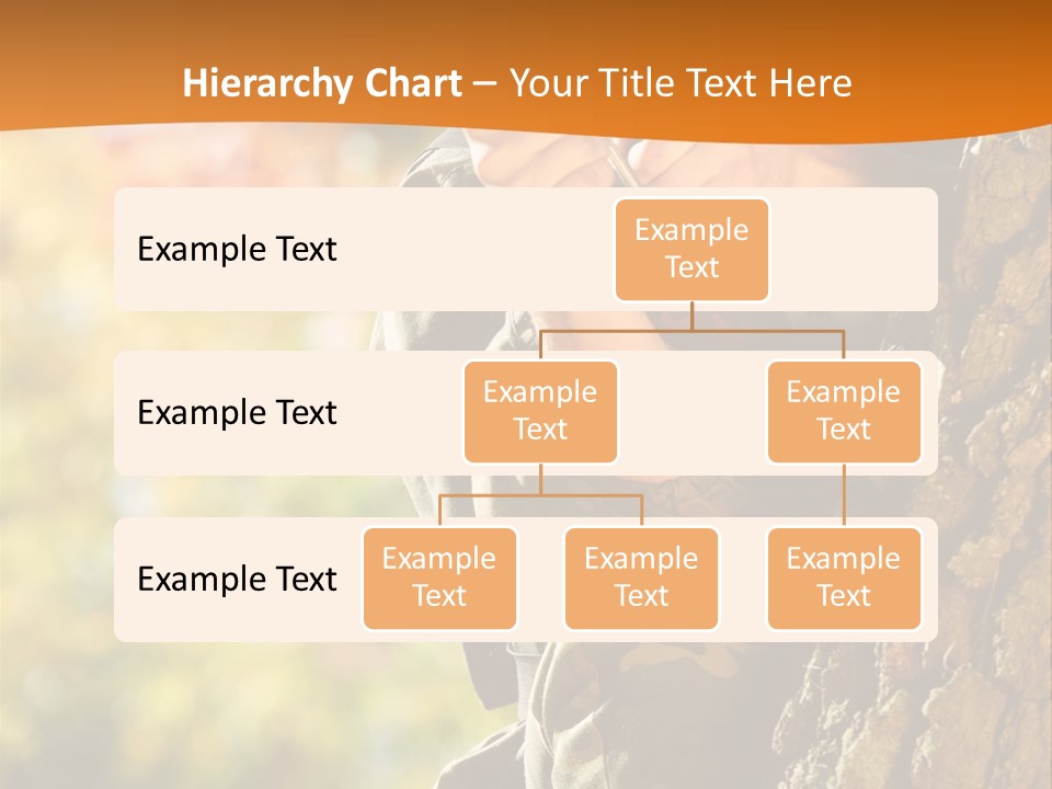 Fire Forest Ball PowerPoint Template