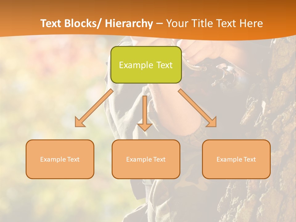 Fire Forest Ball PowerPoint Template