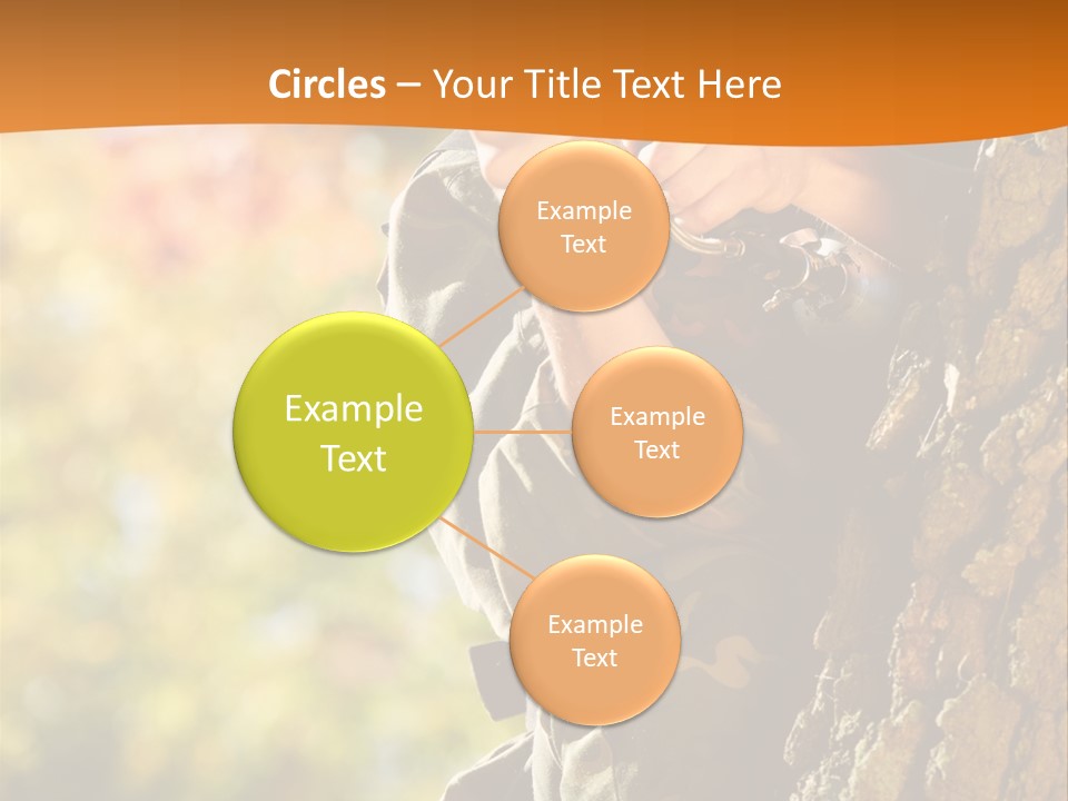 Fire Forest Ball PowerPoint Template